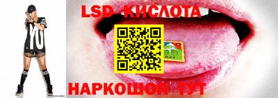 дмт Малоярославец